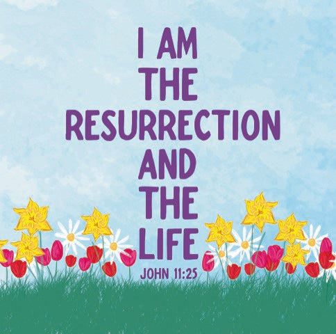 John 11:25 cards with envelopes (Pack of 5)