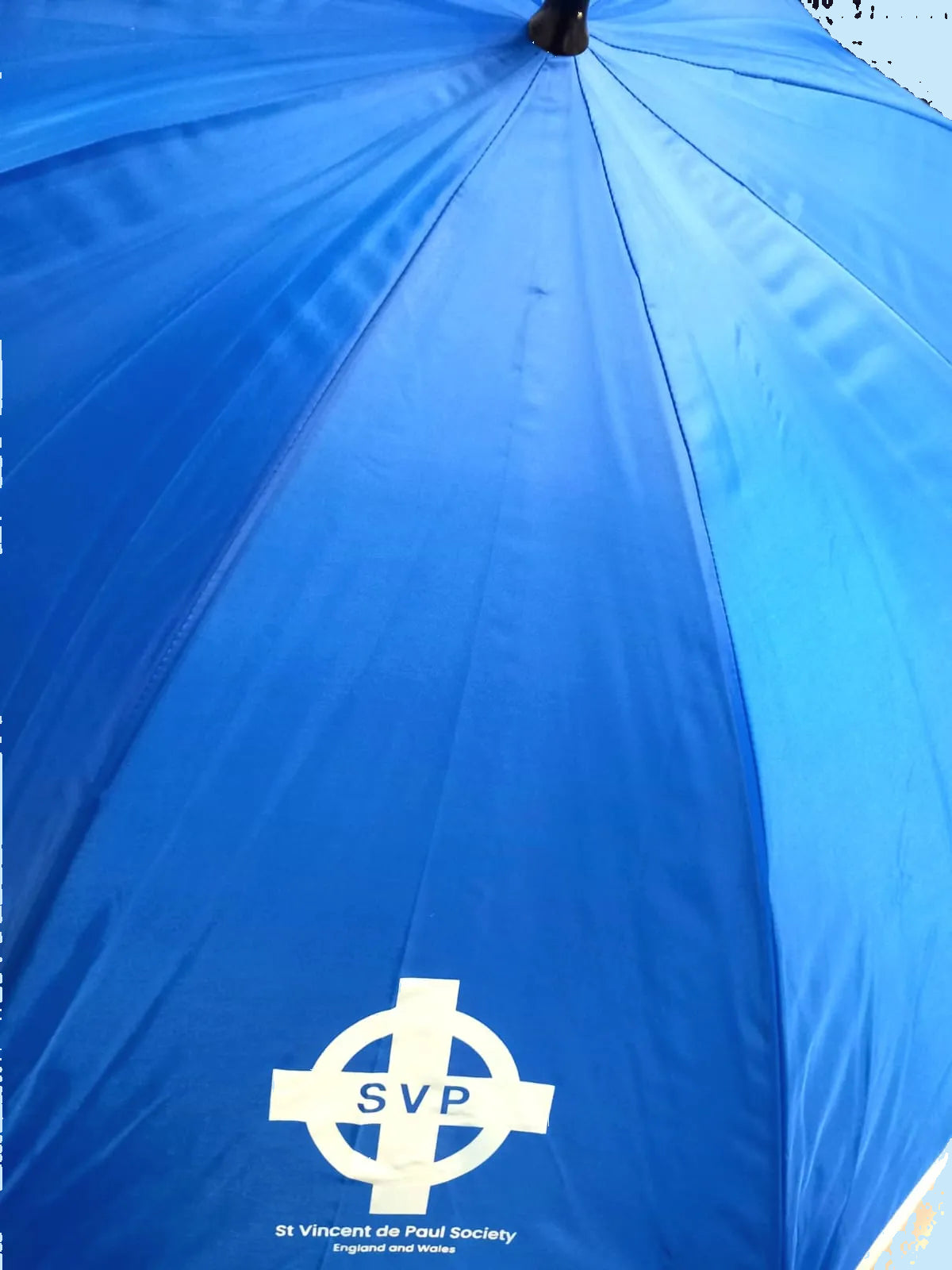 SVP Umbrella